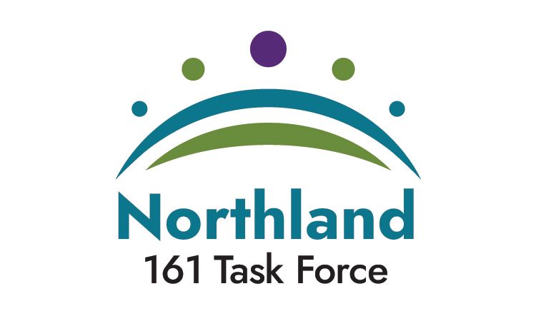 161 task force logo